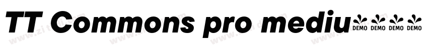 TT Commons pro mediu字体转换